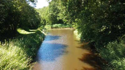 11-14 Een beek het water oogt niet schoon.jpg