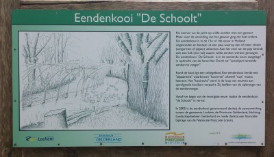 6-Eendenkooi-3.jpg