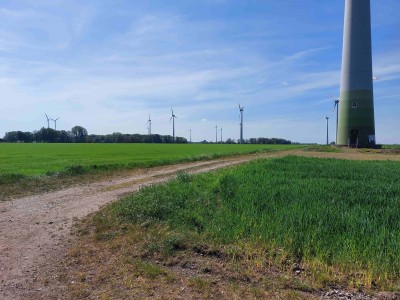 13-Geregeld windmolens onderweg.jpg